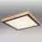 Mennyezet 41764-24Q LED PL