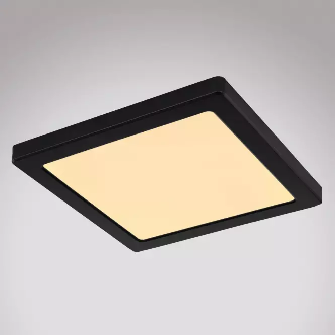 Mennyezet 12380-18B LED 18W fekete PL,3