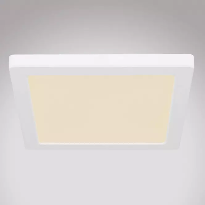 Mennyezet 12380-18W LED 18W fehér PL