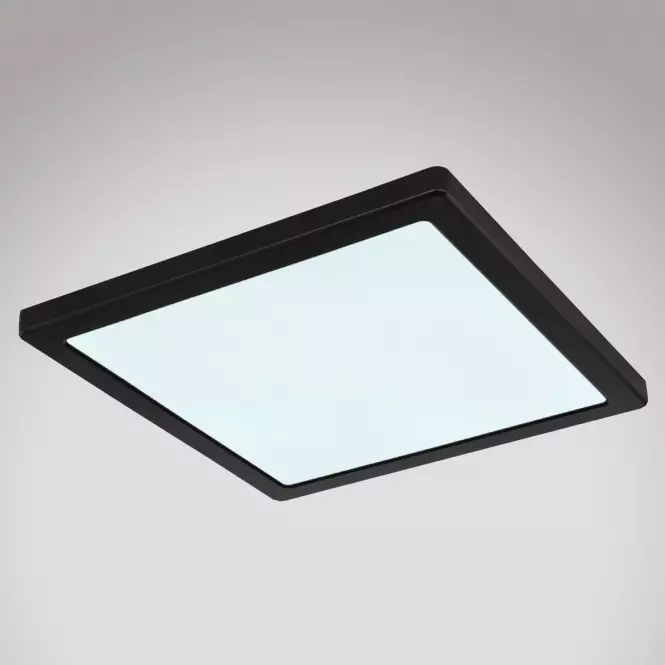 Mennyezet 12380-24B LED 24W fekete PL,4
