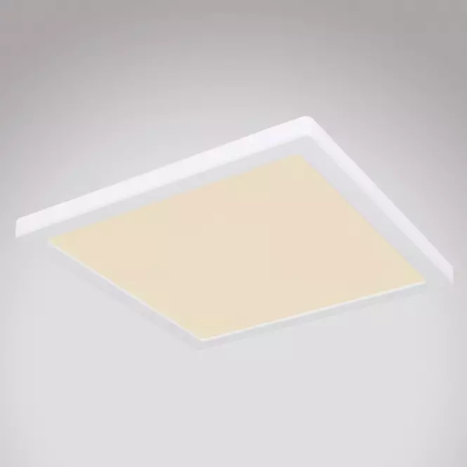 Mennyezet 12380-24W LED 24W fehér PL