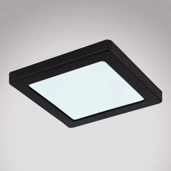 Mennyezet 12380-12B LED 12W fekete PL