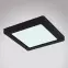 Mennyezet 12380-12B LED 12W fekete PL,2