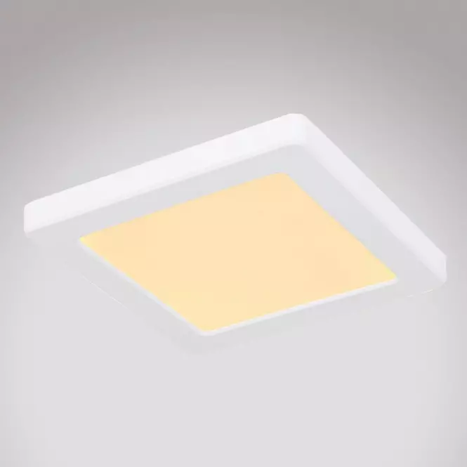 Mennyezet 12380-12W LED 12W fehér PL,2