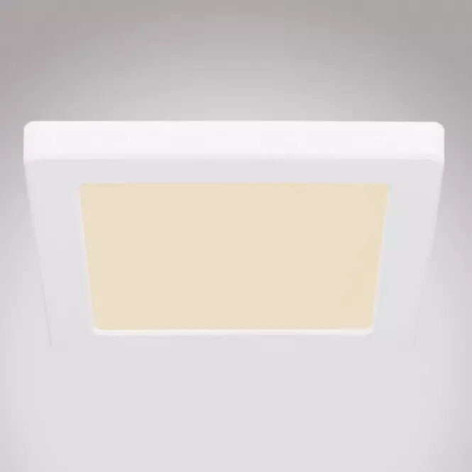 Mennyezet 12380-12W LED 12W fehér PL,3