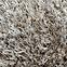 Szőnyeg Shaggy Galaxy 1,33/1,9 7010 70 bézs,7