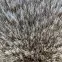 Szőnyeg New Rabbit Fur 1,2/1,7 bézs,6