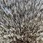 Szőnyeg New Rabbit Fur 1,2/1,7 bézs,6