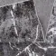 Szőnyeg Victoria 0,8/1,5 8002 0644,6