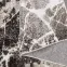Szőnyeg Victoria 0,8/1,5 8002 0944,5