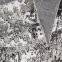 Szőnyeg Victoria 0,8/1,5 8019 0944,4