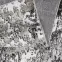 Szőnyeg Victoria 1,6/2,3 8019 0944,4