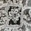 Szőnyeg Havana 0,8/1,46 B0586A szürke,5