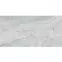 Falicsempe SPC Ash Grey VILO 60x120cm 4mm,4