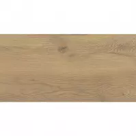 Csempe Gres Sigurd Wood Beige  30/60