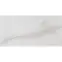 Csempe Eurydyka Cream CCR100-1 30/60 RETT