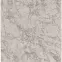 Szőnyeg Star 0.8/1.5 17501 260