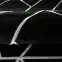 Szőnyeg Frisee Diamond 0,8/1,5 B0052 fekete/ezüst,8
