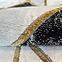 Szőnyeg Frisee Diamond 1,2/1,2 A0033 fekete/arany,4