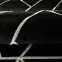 Szőnyeg Frisee Diamond 1,33/1,9 B0052 fekete/ezüst,6