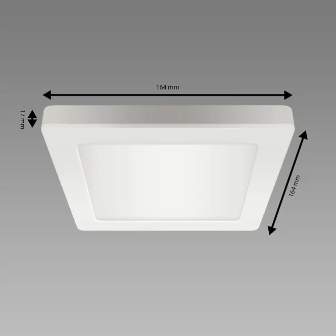 Lámpa OLGA LED D 12W WHITE CCT 04061 PL1