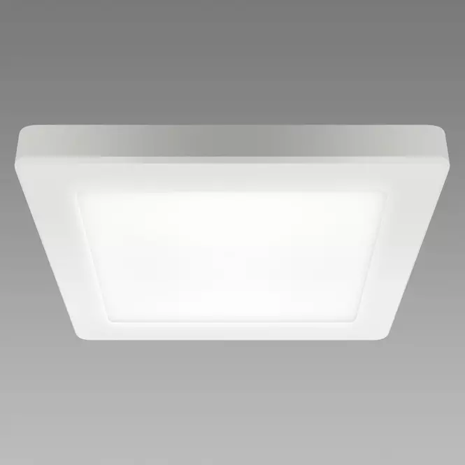 Lámpa OLGA LED D 24W WHITE CCT 04063 PL1