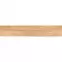 Csempe Gres Pine Beige Rekt. Mat 20/120,2