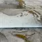 Szőnyeg Heatset Craft 0.8/1.5 50161 257 szürke,6