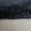 Szőnyeg Loft 37 0,8/1,5 90 fekete,7