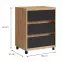 Irodai konténer Iga Tölgy Craft / Fekete Mat,2