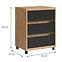 Irodai konténer Iga Tölgy Craft / Fekete Mat,2
