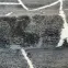 Szőnyeg Moroccan 1.6/2.3 8820a Nm 552,7