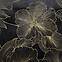 Sötétítő STELLA 140X250 karikán 388311,8