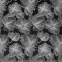 Sötétítő STELLA 140X250 karikán 388312,4
