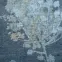 Sötétítő ANDY 140X250 karikán 387588,9