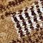 Szőnyeg New Shiraz 0,8/1,5 3829 B55,5