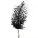 Fekete toll 6 db 18x9 cm 1112650