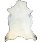 Nagy Méretű Bőr