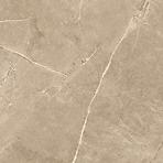 Csempe Gres Tecnostar Taupe Mat 59,7x59,7