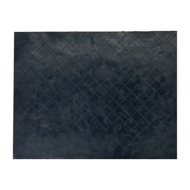 Gumírozott Lábtörlő kültéri Blossom K-302 55x41 cm virágok,4