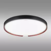 Mennyezeti lámpa ESPERANTO LED C 24W SMART WI-FI 04076 PL1