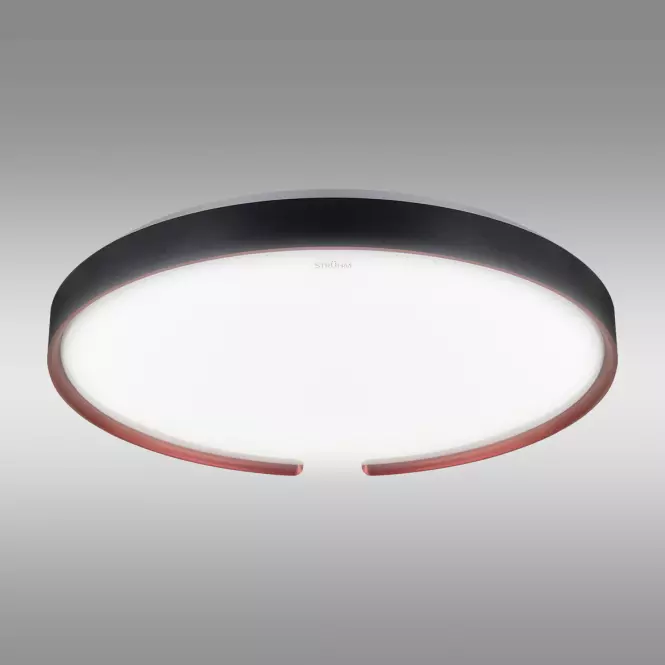 Mennyezeti lámpa ESPERANTO LED C 24W SMART WI-FI 04076 PL1
