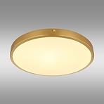 Mennyezeti lámpa Tibey 12381-22 LED PL1