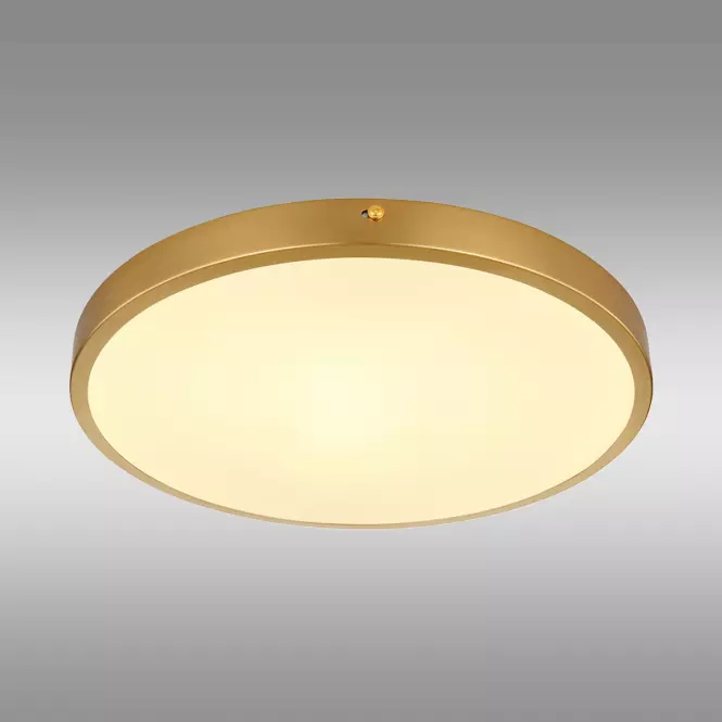 Mennyezeti lámpa Tibey 12381-22 LED PL1