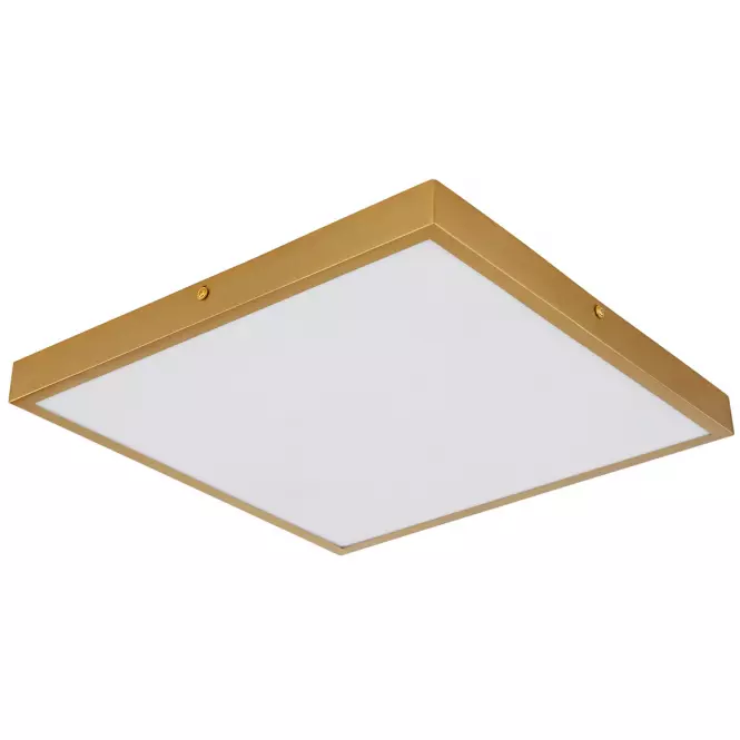 Mennyezeti lámpa Tibey 12382-22 LED PL1,3