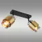 Lámpa Milley 15560-2 LS2