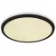 Mennyezeti lámpa Jaxxi 41391-40R RGB LED  PL2,9