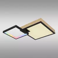 Mennyezeti lámpa Jacky 41392-21 RGB LED PL2