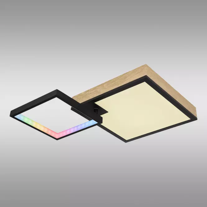 Mennyezeti lámpa Jacky 41392-21 RGB LED PL2