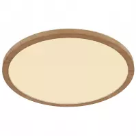 Mennyezeti lámpa Sapana 41562-18WW LED PL1